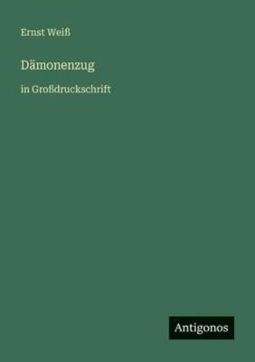 Dämonenzug: in Großdruckschrift [German] 3566075299 Book Cover