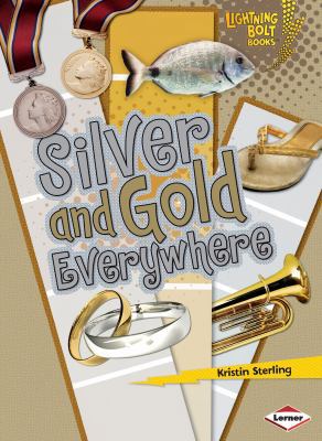 Silver and Gold Everywhere 0761356622 Book Cover