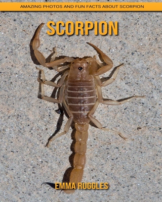 Paperback Scorpion: Amazing Photos and Fun Facts about Scorpion [Large Print] Book