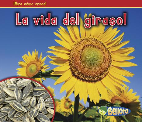 La Vida del Girasol [Spanish] 1432952897 Book Cover