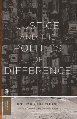 Justice and the Politics of Difference 0691235163 Book Cover