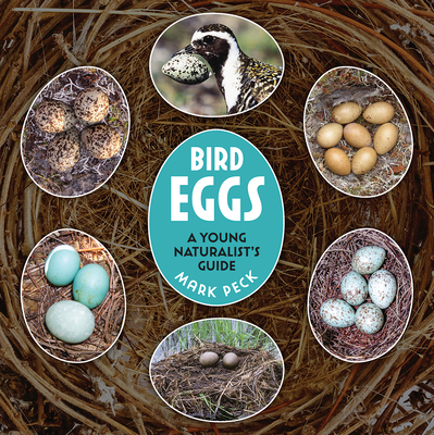 Bird Eggs: A Young Naturalist's Guide 0228104823 Book Cover