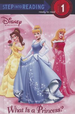 What Is a Princess? 0738347310 Book Cover