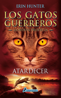 Atardecer / Sunset [Spanish] 849838785X Book Cover