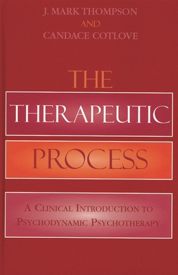 The Therapeutic Process: A Clinical Introductio... 0765703297 Book Cover