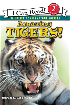 Amazing Tigers! 0756954312 Book Cover