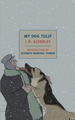 My Dog Tulip : Movie Tie-In Edition