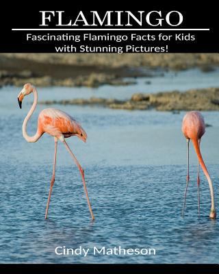 Flamingo: Fascinating Flamingo Facts for Kids with Stunning Pictures!