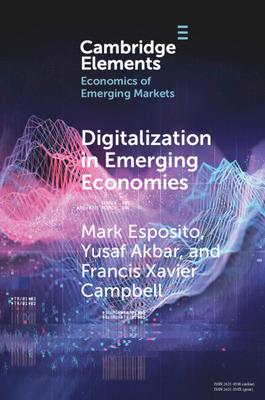 Digitalization in Emerging Economies 1009433903 Book Cover