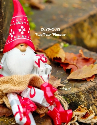 2020-2021 Two Year Planner: Record Your Daily A... 1695671260 Book Cover