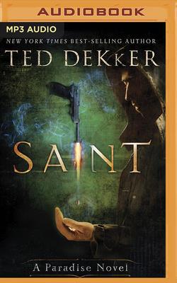 Saint: A Paradise Novel 1713529777 Book Cover