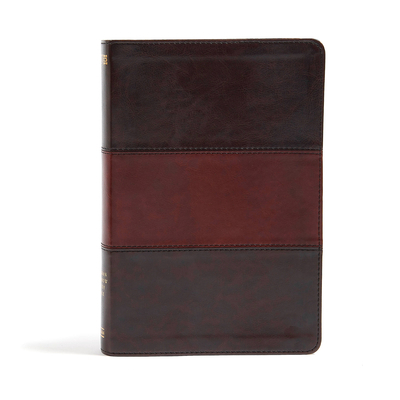 Rainbow Study Bible-NIV 1433616556 Book Cover