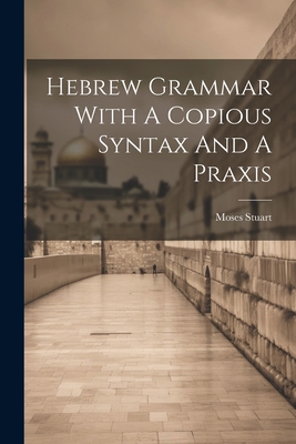 Hebrew Grammar With A Copious Syntax And A Praxis 1021525766 Book Cover