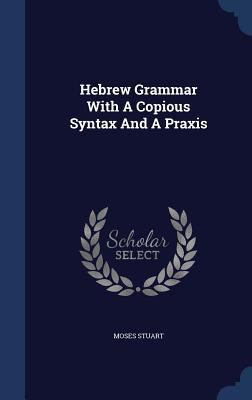 Hebrew Grammar With A Copious Syntax And A Praxis 134009701X Book Cover