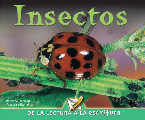 Insectos: Insects = Insects [Spanish] 1600448577 Book Cover