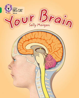 Your Brain: Band 15/Emerald 0007465459 Book Cover