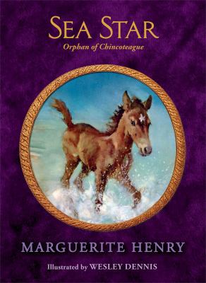 Sea Star: Orphan of Chincoteague 1481425633 Book Cover
