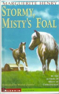 Stormy, Misty's Foal 0833561669 Book Cover