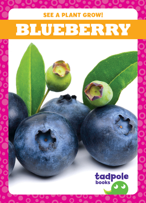 Blueberry 163690694X Book Cover