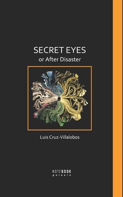 Secret Eyes or After Disaster B0F4Y4PLF6 Book Cover