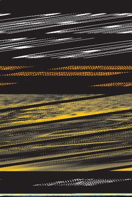 Rich Poor Mans Guide to Pittsburgh 0944101259 Book Cover