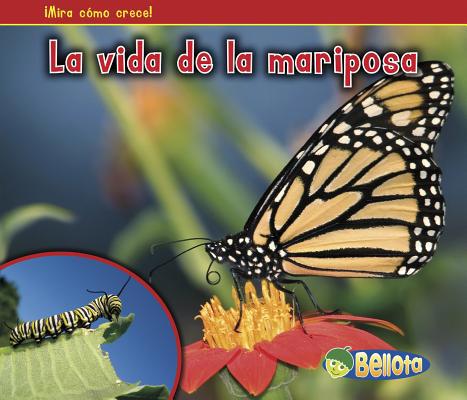 La Vida de la Mariposa [Spanish] 1432952714 Book Cover