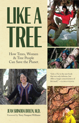 Like a Tree: How Trees, Women, and Tree People ... 1642504068 Book Cover