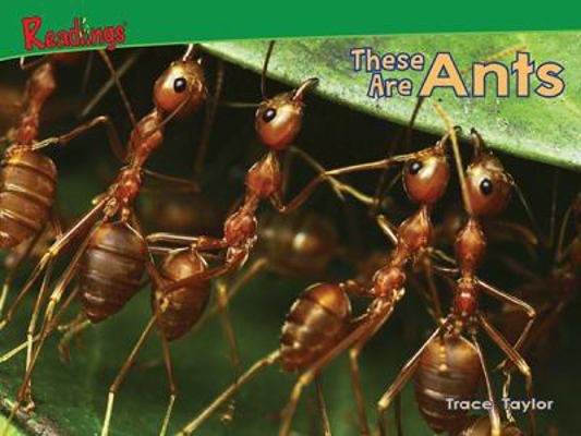 Ants 1593018541 Book Cover