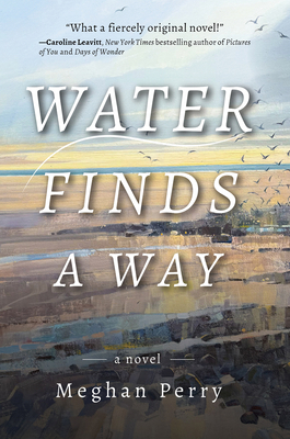 Water Finds a Way a Novel 1953002412 Book Cover