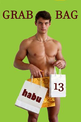 Grab Bag 13 1925568261 Book Cover