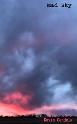 Mad Sky B08QM15Z52 Book Cover