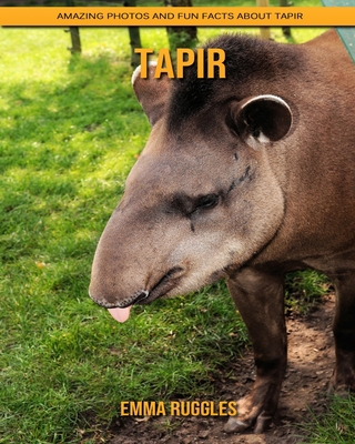 Tapir: Amazing Photos and Fun Facts about Tapir