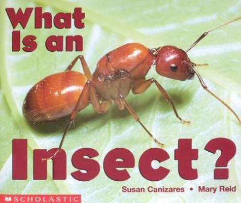 What Is An Insect? (Emergent Readers) 0590397907 Book Cover