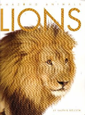Amazing Animals: Lions 1926722221 Book Cover