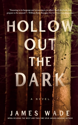 Hollow Out the Dark B0F53667L3 Book Cover