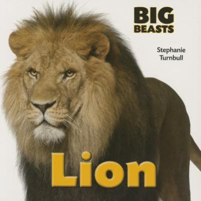 Lion (Big Beasts) 1770922164 Book Cover