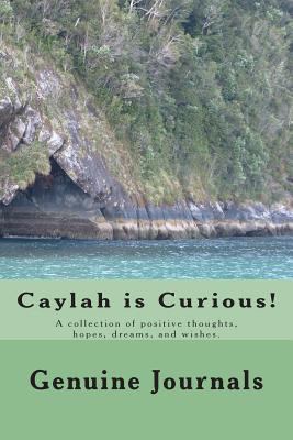 Caylah is Curious!: A collection of positive th... 1500766860 Book Cover