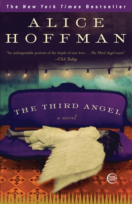 The Third Angel 0307405958 Book Cover