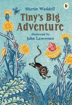 Tiny's Big Adventure 1844285383 Book Cover