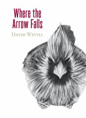 Hardcover Where the Arrow Falls Book