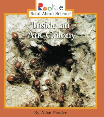 Inside an Ant Colony 0613374002 Book Cover
