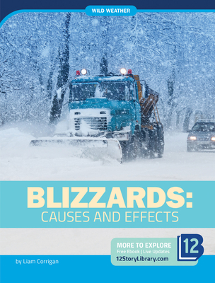 Blizzards: Causes and Effects 1645821455 Book Cover
