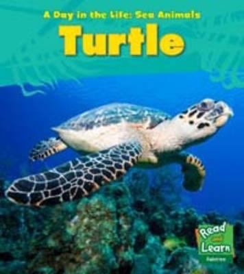 Turtle 1406218898 Book Cover