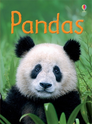 Pandas (Beginners Series) 1409581594 Book Cover