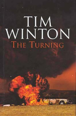 The Turning: New Stories 0330421387 Book Cover