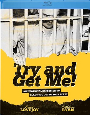 Try And Get Me Book Cover