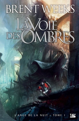 L'Ange de la Nuit T01 La Voie des ombres [French] 2352942659 Book Cover