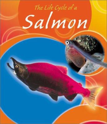 The Life Cycle of a Salmon 0736814531 Book Cover
