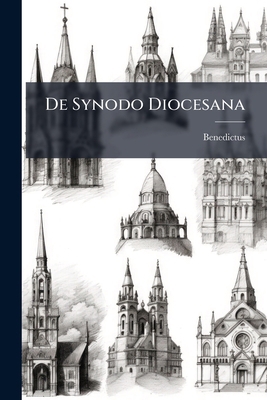 De Synodo Diocesana: Libri 13 124740692X Book Cover
