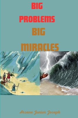 Big Problems Big Miracles B0D9D6LFRW Book Cover